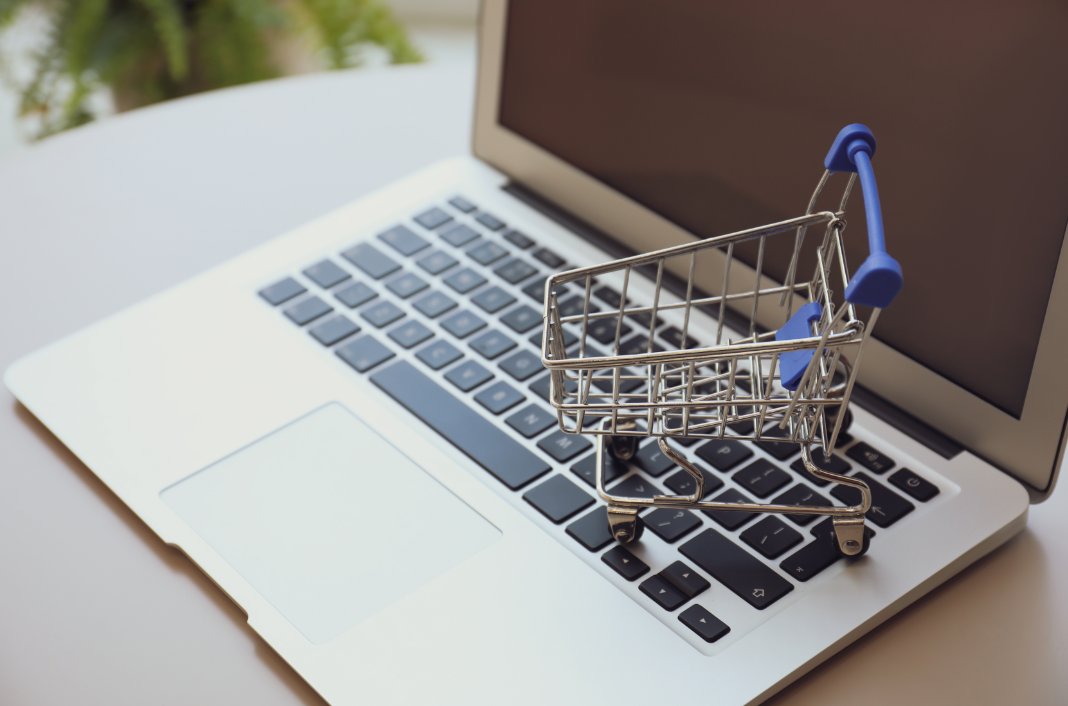 ecommerce|women shopping online|online shopping