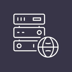 Business / Agency Web Hosting