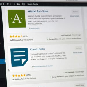 wordpress website backend